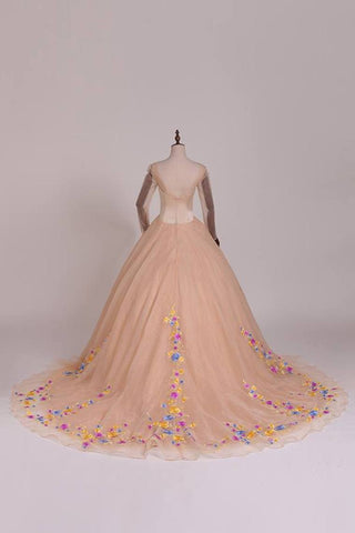 Robe de mariée robe boule manches longues robe de mariée en tulle, princesse longue robe de mariée avec des applications